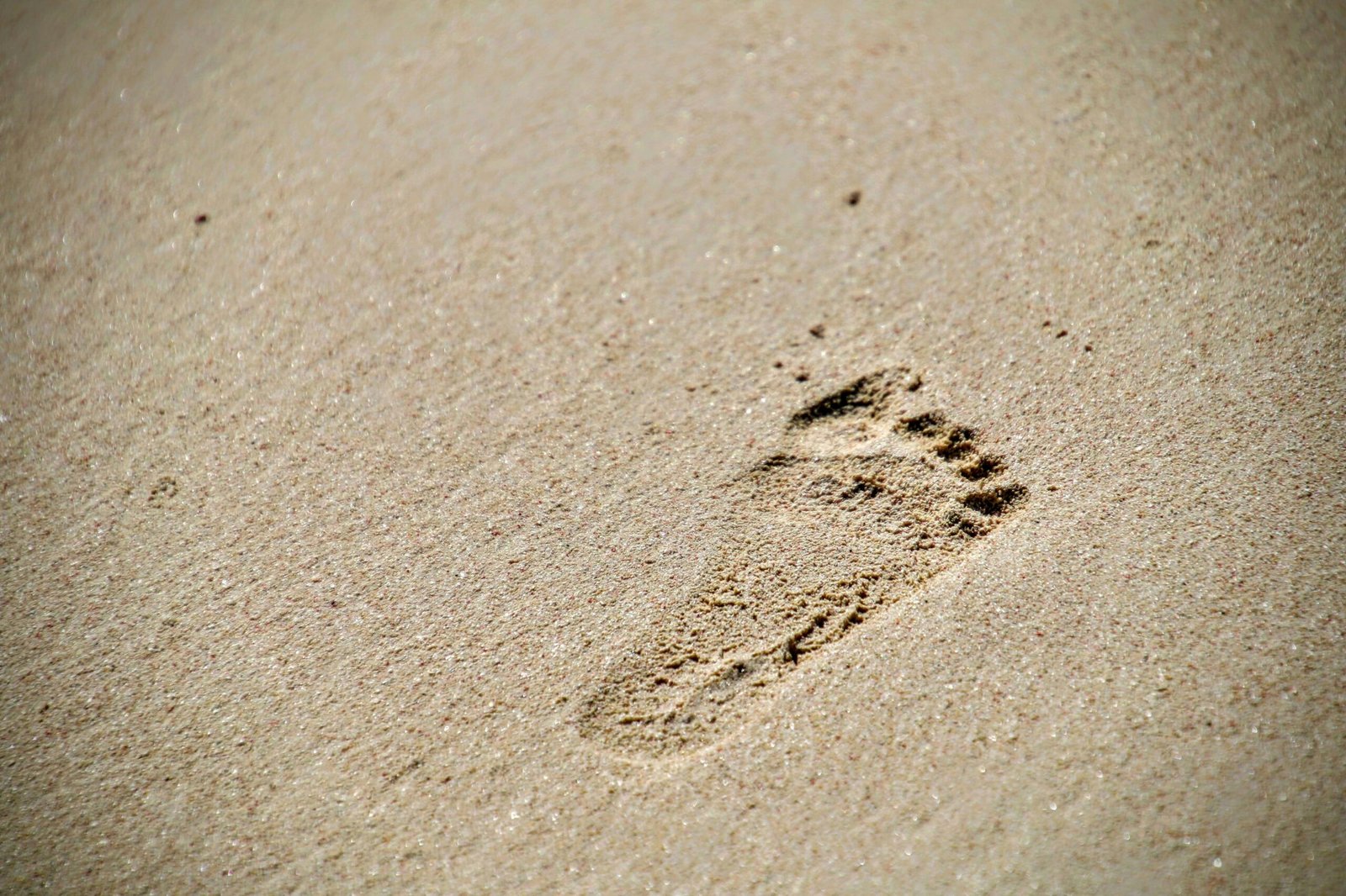 foot prints on white sand